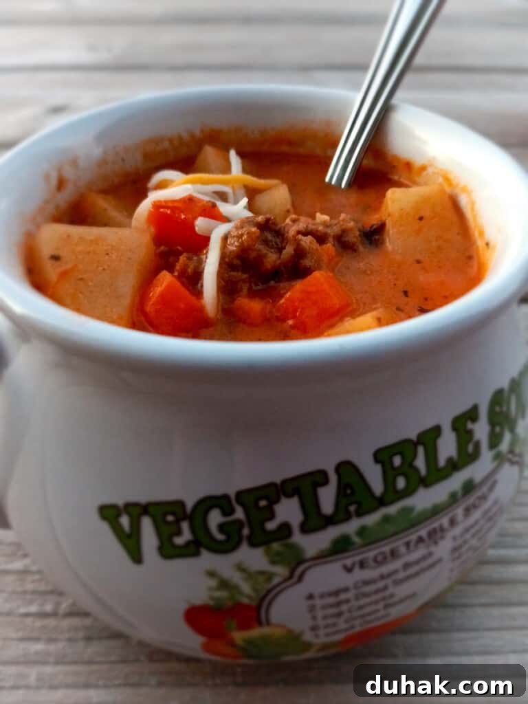vegetable soup cup full of hamburger soup