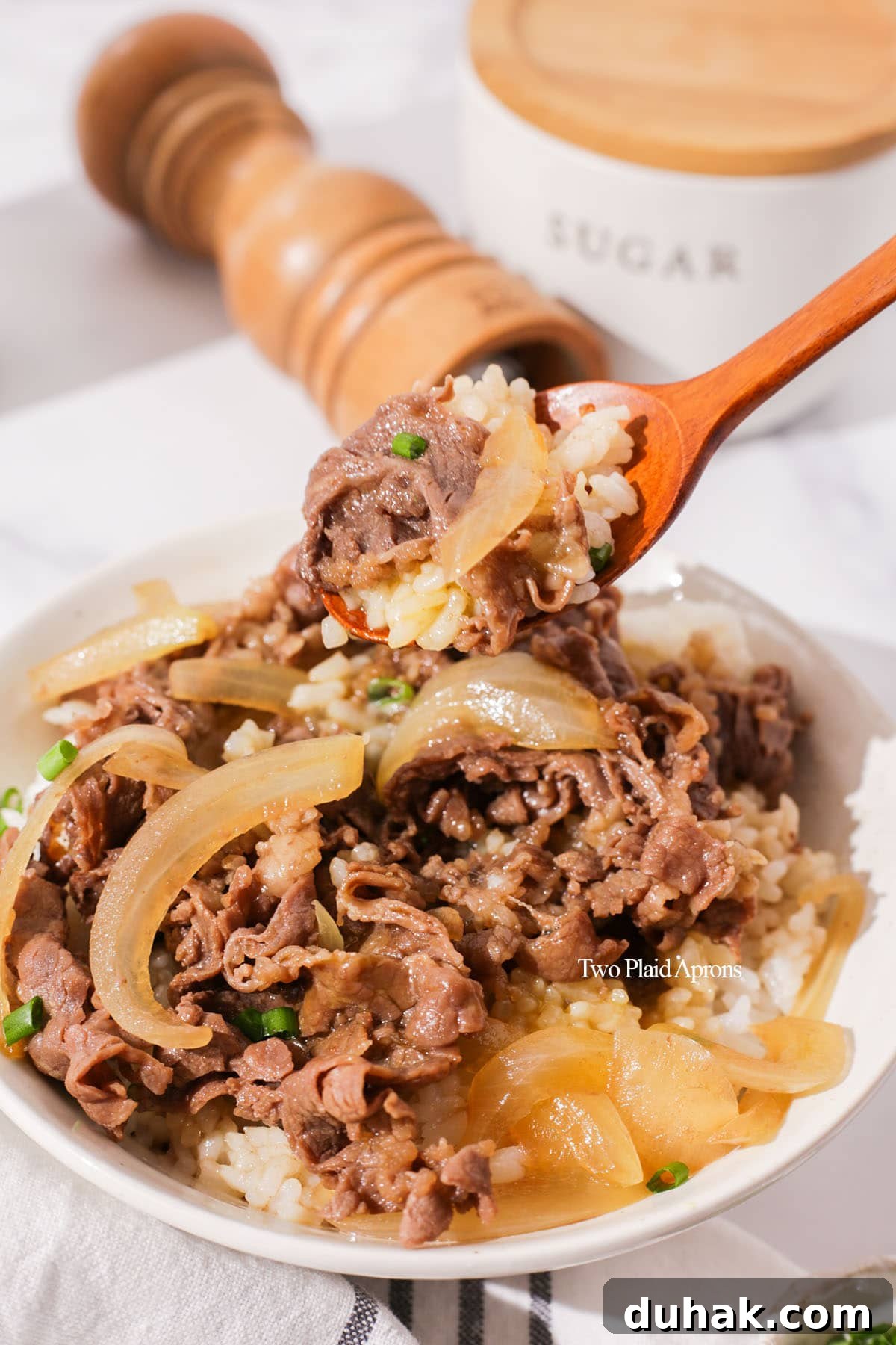 Authentic Gyudon: How to Make Japanese Beef Bowl at Home 9 Stored gyudon