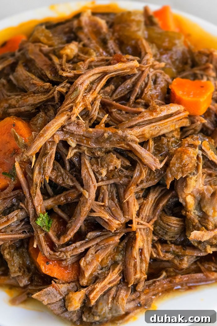 Closeup Shot of Shredded Meat With Carrots on White Dish.
