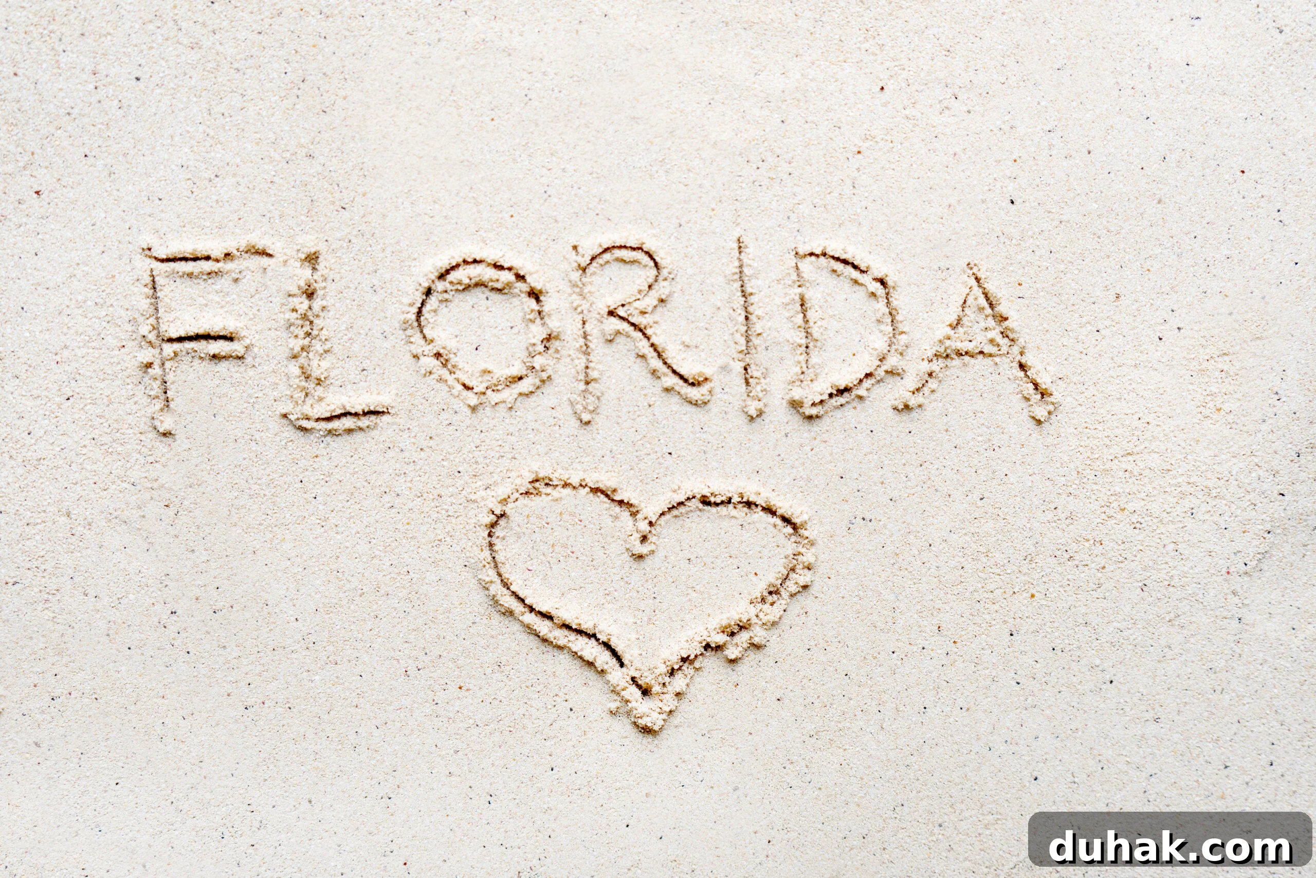 #14: Florida #14: Florida