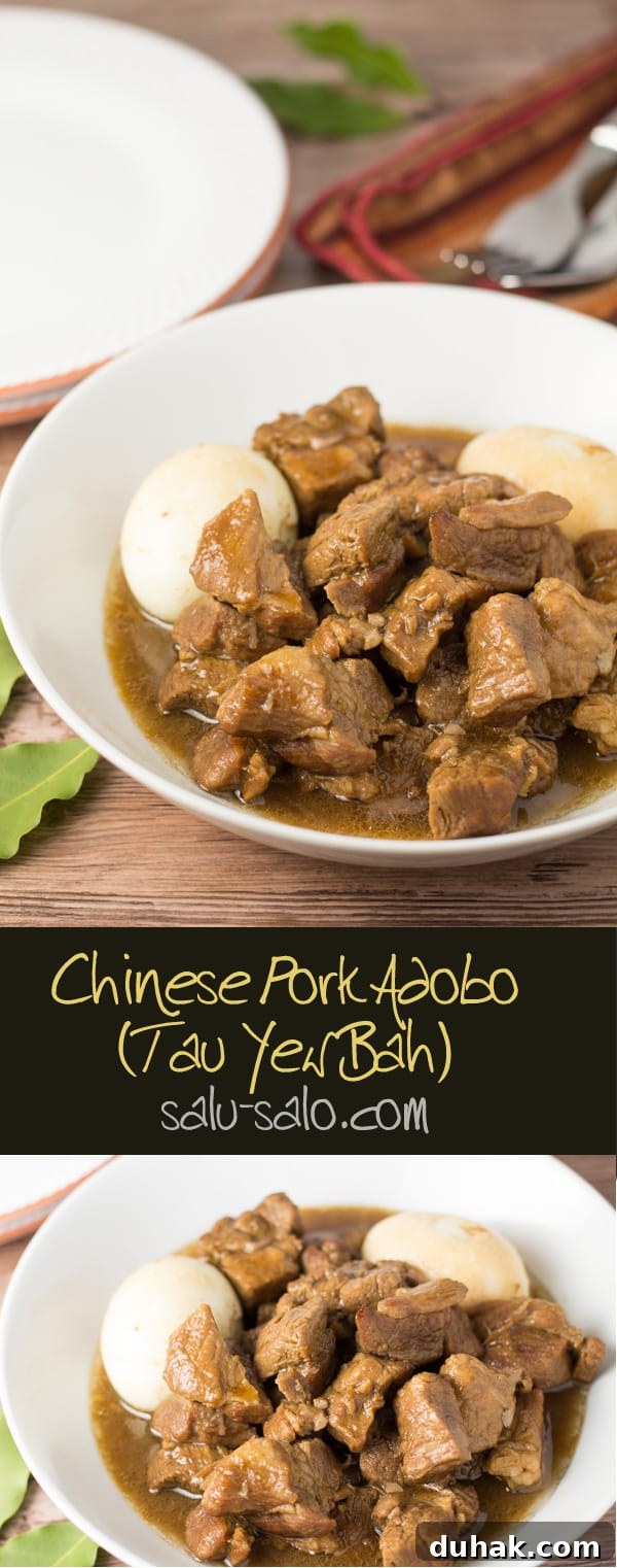 Chinese Pork Adobo (Tau Yew Bah) Recipe — Authentic Soy-Braised Pork 6 Chinese Pork Adobo (Tau Yew Bah)