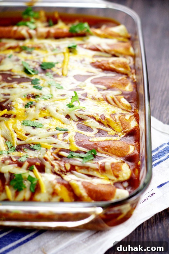 Black Bean Enchiladas with Tangy Red Sauce and Melted Cheese 2 Black Bean Enchiladas. Simple and classic flavors are used for these Black Bean Enchiladas, that make a delicious, easy, and meatless family dinner. Love the simple ingredients in this recipe!