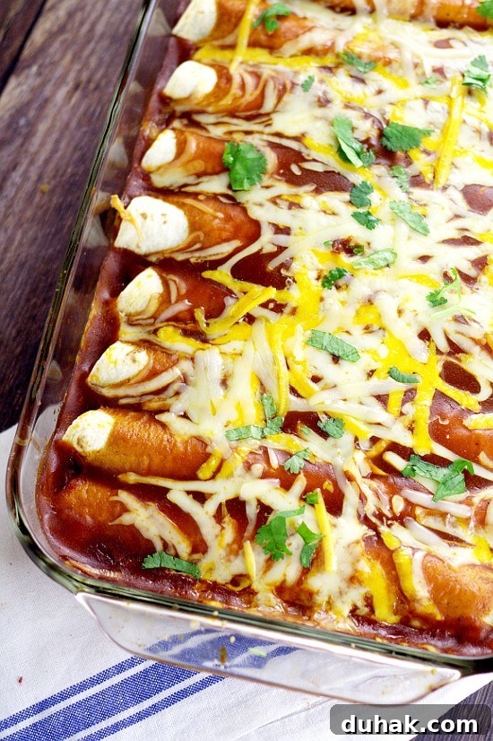 Black Bean Enchiladas with Tangy Red Sauce and Melted Cheese 3 Black Bean Enchiladas. Simple and classic flavors are used for these Black Bean Enchiladas, that make a delicious, easy, and meatless family dinner. Love the simple ingredients in this recipe!