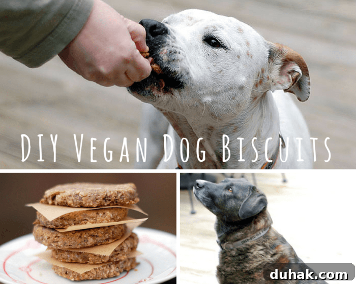 A collage of dogs and cookies
